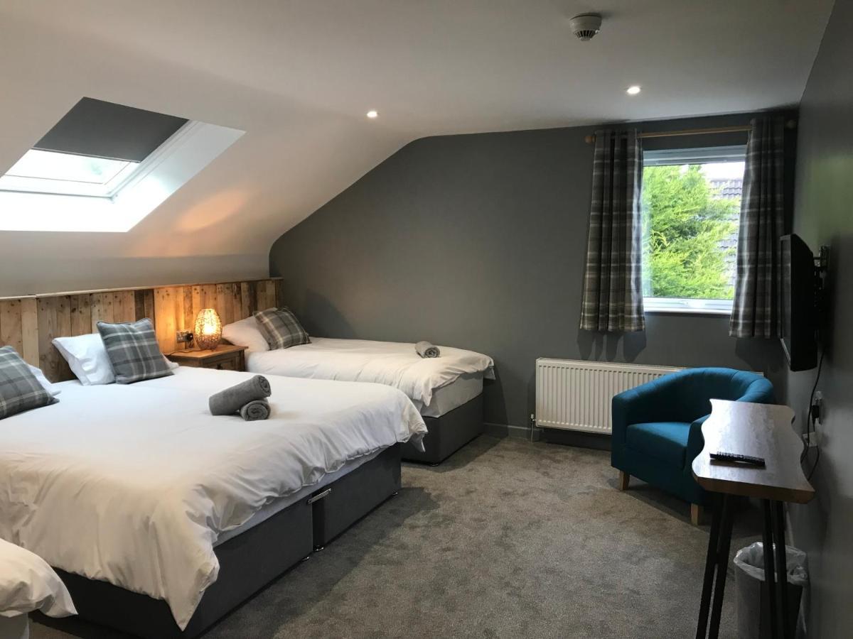 Rostrevor Mountain Lodge - Glamping Pods - Revive Sauna & Hot Tubs Exterior foto